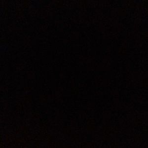 Meet your Posher, Donald